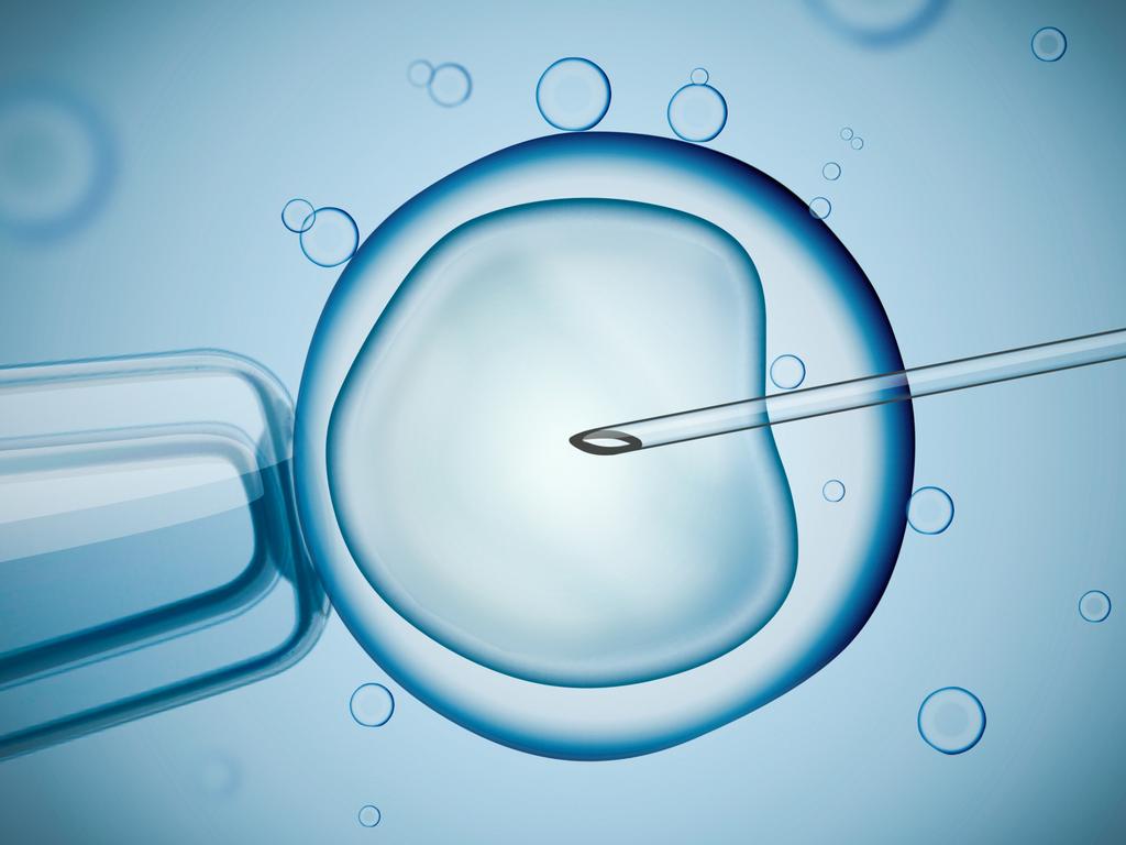 What's stumping us: A snapshot of what we know about fertility - Institute  for Reproductive Health
