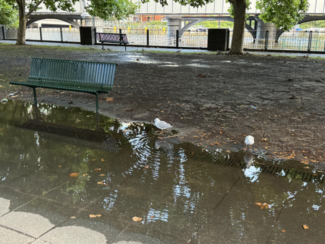 Craig McIntosh called Southbank ‘an embarrassment’. Picture: Craig McIntosh