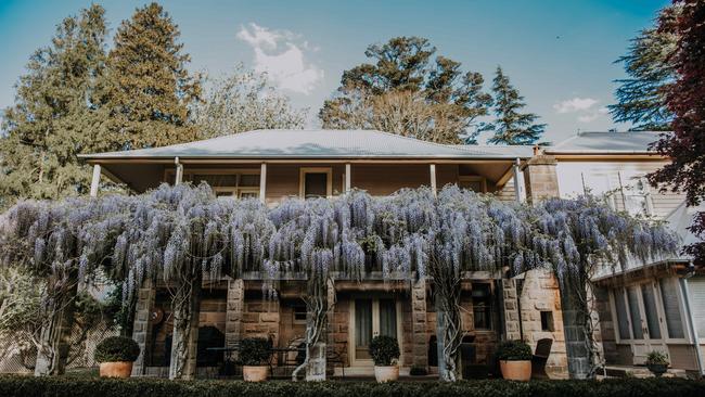 Wisteria-draped Dennarque in spring.