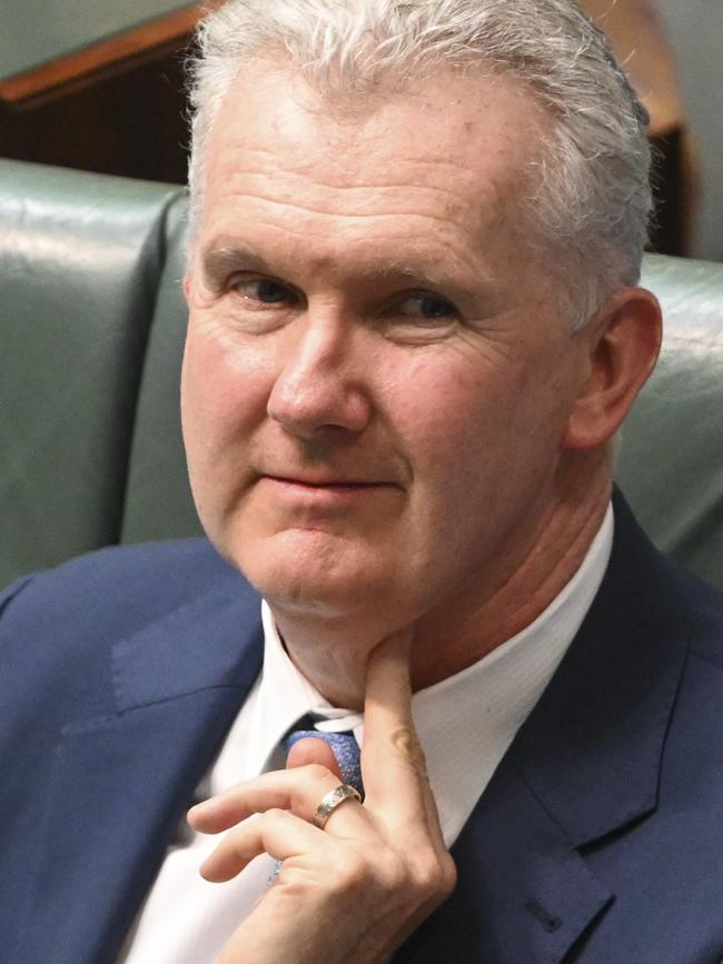 Workplace Relations Minister Tony Burke. Pictures: NCA NewsWire / Martin Ollman