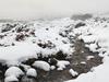 ‘Very wild’: Parts of Tassie see dumping of snow