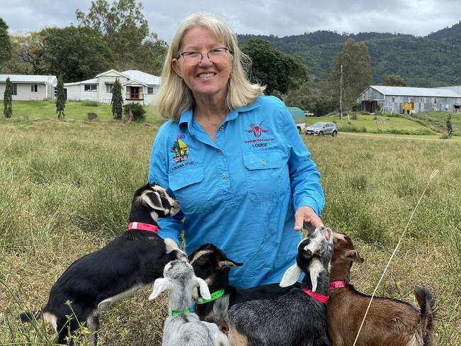 At a young age, Louise offers some of her goats as pets and sells others as farm animals. Photo: Fergus Gregg