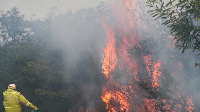 National Parks & Wildlife along with NSW Fire brigade conduct a hazard reduction near Tania Park Balgowlah .picture John Grainger