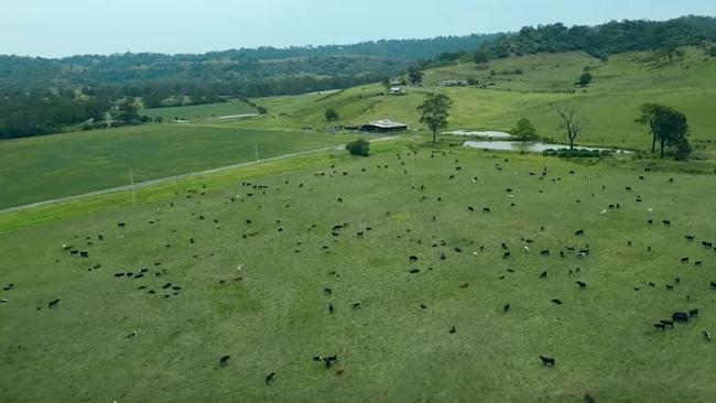 Lachlan McAleer’s 500-acre farm