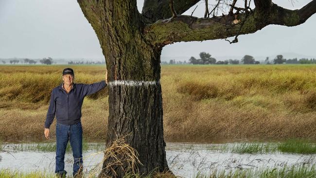 Leigh Parry with a tree that has a white line to show where the water reached during the peak of the flooding with a spoiled canola crop in the background. Picture: Zoe Phillips