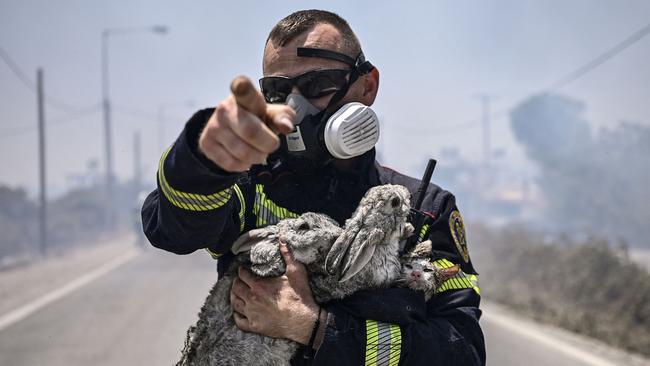 A fireman holds a cat and two rabbits after rescuing them from a fire on the Greek island of Rhodes. Picture: AFP