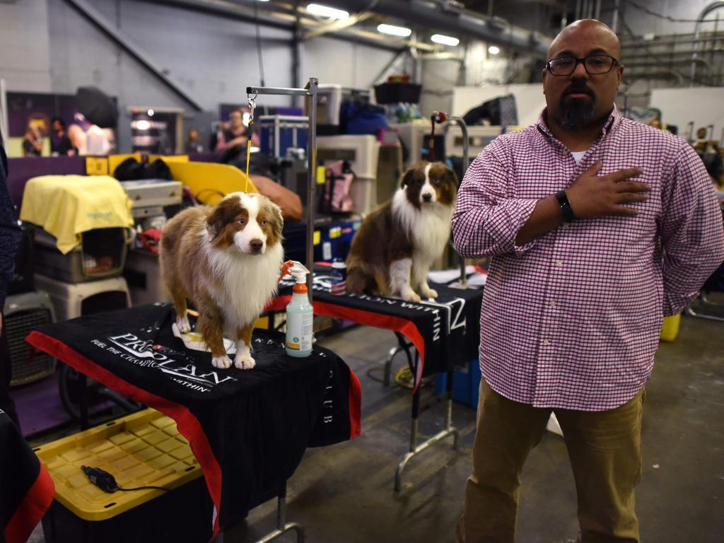 People and dogs wait in the benching area on Day One of competition at the Westminster Kennel Club 142nd Annual Dog Show in New York on February 12, 2018. Picture: AFP