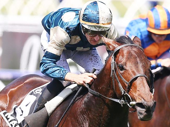 MELBOURNE, AUSTRALIA - NOVEMBER 06:  Jockey Hugh Bowman rides Marmelo to second place in race 7 the Lexus Melbourne Cup during Melbourne Cup Day at Flemington Racecourse on November 6, 2018 in Melbourne, Australia.  (Photo by Michael Dodge/Getty Images)