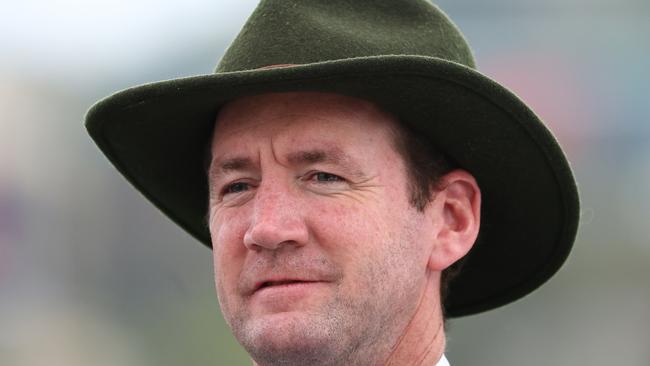 Horse racing trainer Ciaron Maher is one of the best in the country. Photo by Jeremy Ng/Getty Images