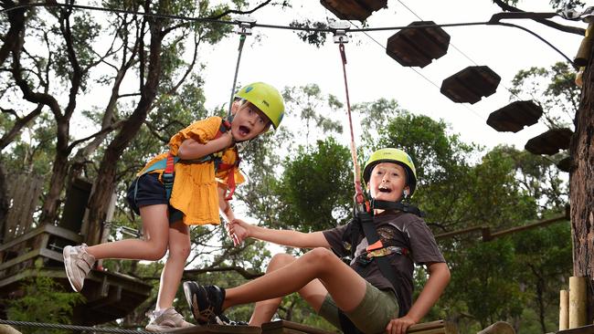 A zip line course in Toolangi would have created up to 40 jobs. Picture: Josie Hayden