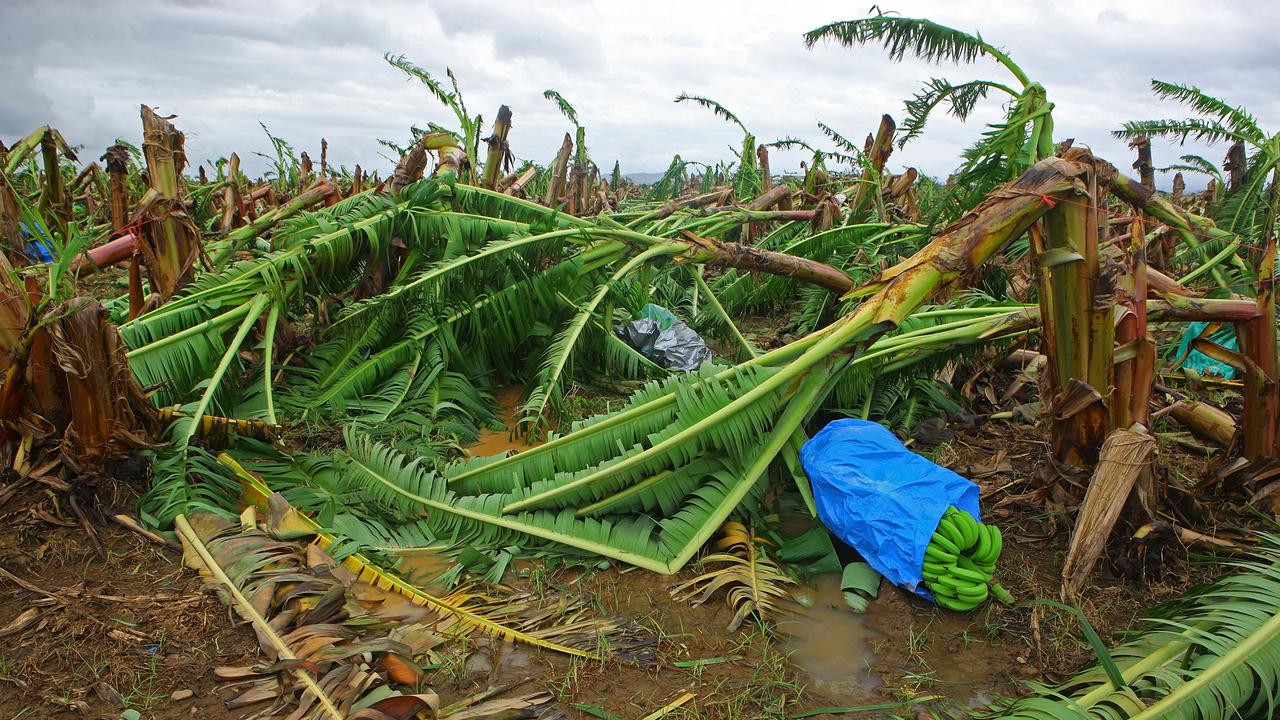 Cyclone Kimi: Cassowary Coast residents brace for forecast category two ...