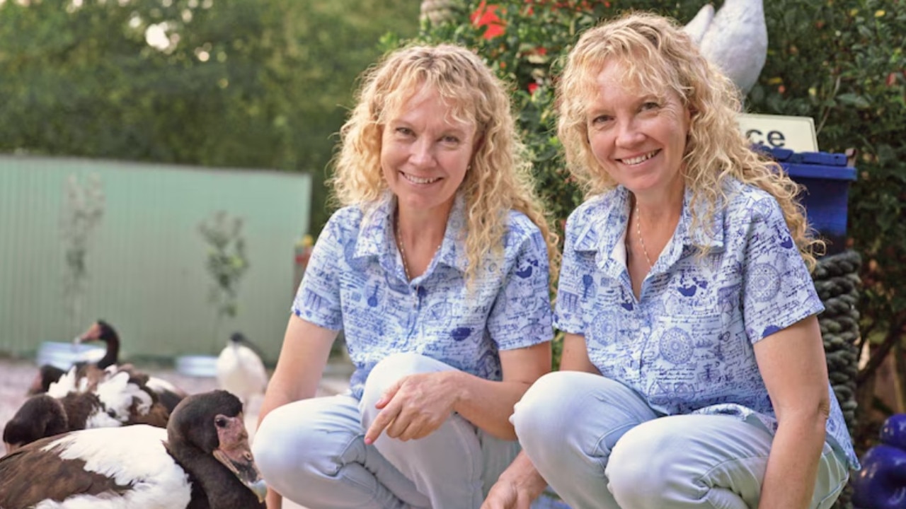 the Twinnies have been rescuing birds for 25 years. Picture: ABC