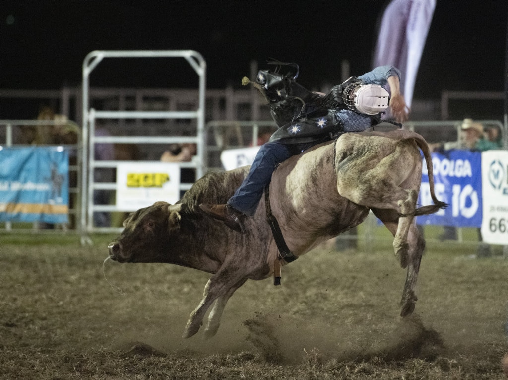 Jack Cameron gets in bad shape in the junior bull ride at the Lawrence Twilight Rodeo. Picture: Adam Hourigan