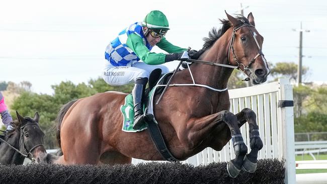 Stern Idol led all the way to win the Brierly Steeplechase at Warrnambool on Tuesday. Picture: George Sal/Racing Photos via Getty Images