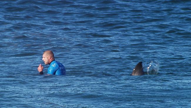 Fanning once came face-to-face with a Shark in JBay, but says he’d be scared of Reece Walsh running at him. Picture: AFP.