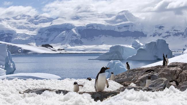 White Desert Antarctica: Inside the most remote hotel on Earth | news ...