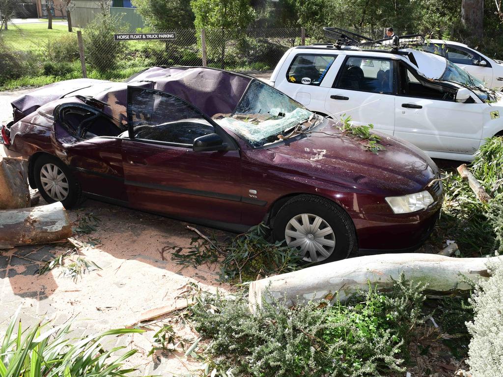 Two cars were destroyed by a falling tree at the Meadows Vet Clinic. Picture: Campbell Brodie.