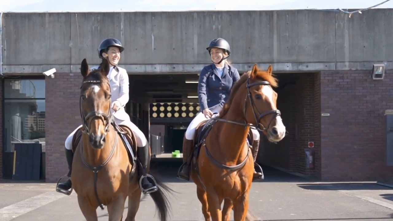 Racing NSW praises industry for backing in &#8216;fantastic&#8217; Equimillion event