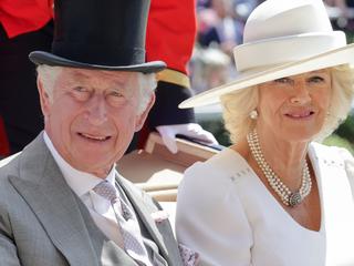 ‘Not easy’: Camilla’s shock Charles confession