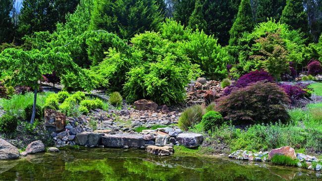 Alan Jackson's Gory’u garden, Little Hartley, NSW. Picture: Brent Wilson