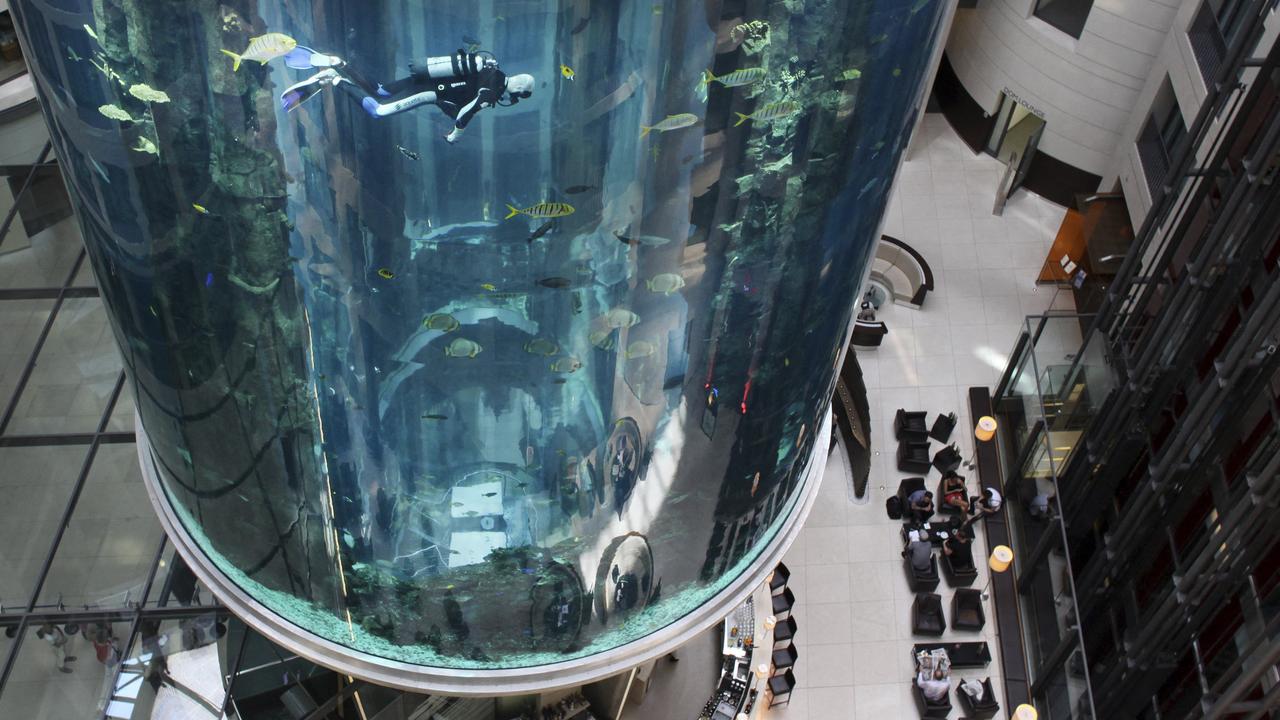 Bruch im Hotel-Aquarium: „Erste Hinweise“ auf Ursache der AquaDom-Katastrophe aufgedeckt