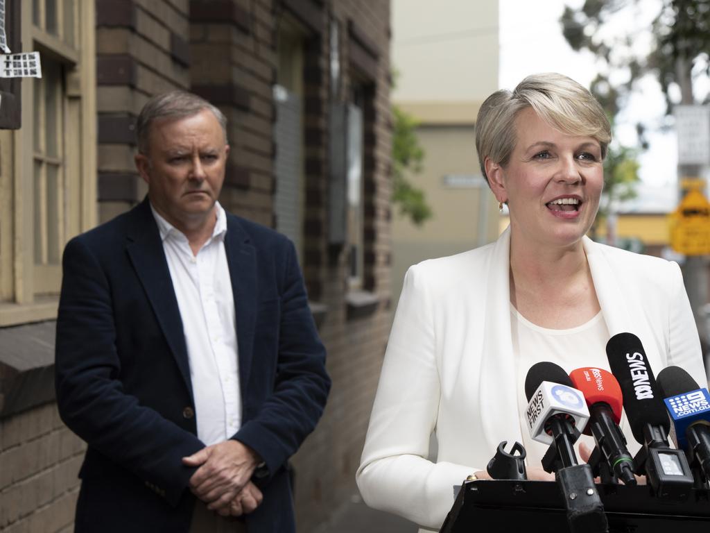 Labor MP Tanya Plibersek Backs Labor Leader Anthony Albanese | Herald Sun