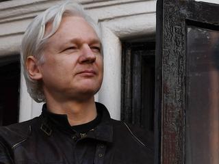 Albo urged to stop Assange ‘madness’