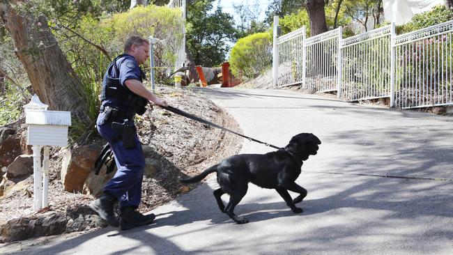 A sniffer dog arrives at 2 Gilwinga Dr, Bayview on Day 2 of the renewed search at Lyn Dawson's former home. Picture: Hollie Adams