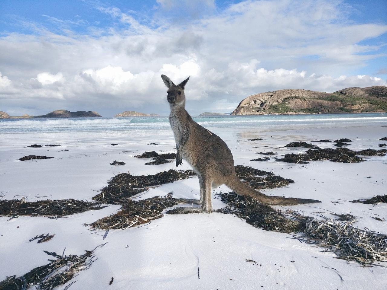 Cheap holiday: How Australian family travels for $6 a day | escape.com.au