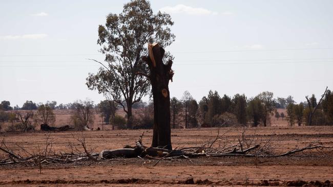 NSW farmers are continuing to battle the worst drought on record.