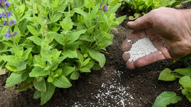 Expectations are further mounting that Incitec Pivot will shelve its plan to demerge its fertiliser unit. Picture: iStock