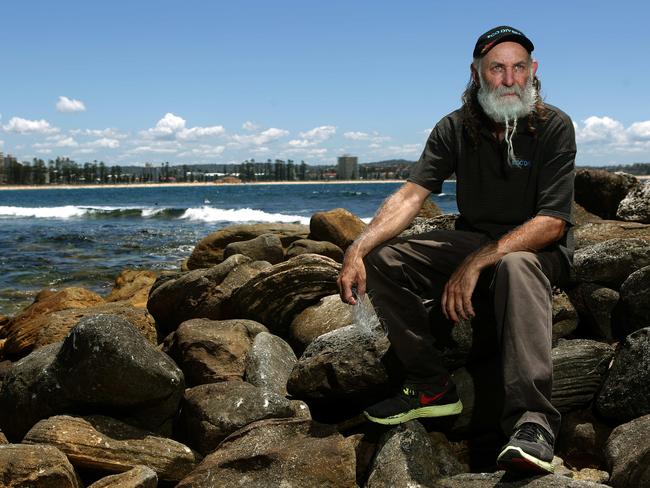 Marine conservationist Dave Thomas said there was no need for authorities to interfere. Picture: Newscorp