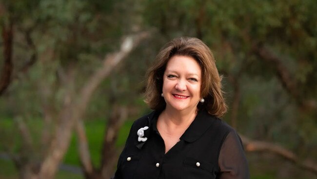 Gina Rinehart has gifted a portrait of herself to the National Gallery of Australia. Picture: Supplied