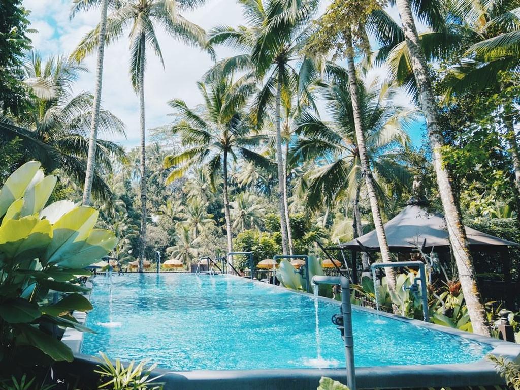 The hotel is surrounded by jungle.