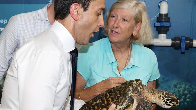 Leader of the Opposition David Crisafulli with Dennis the juvenile Hawksbill turtle, and Turtle Triage and Rehabilitation Centre co-founder Jennie Gilbert, during a tour of the Cairns Aquarium this week. Picture: Liam Kidston