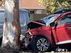 Young man dies in ‘horrific’ crash