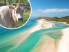 Reef and Beef: One of a kind island cattle station for sale