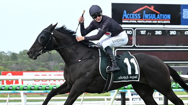 Elettrica takes out the Sunshine Coast Cup in commanding style Picture: Grant Peters Trackside Photography