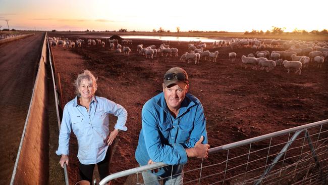 Dianne and Rick on their lamb feedlot. Picture: Yuri Kouzmin