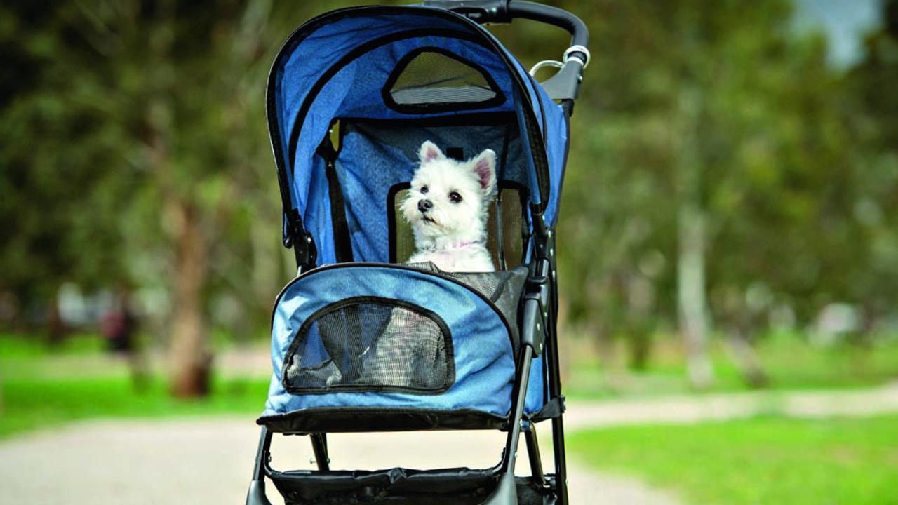 Pet gear clearance jogger