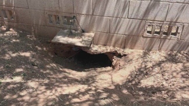 Arizona man becomes stuck in tortoise hole | news.com.au — Australia’s ...