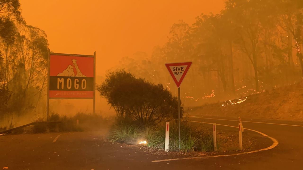 Mogo Zoo on the NSW South Coast as it was saved by a heroic effort by the NSW RFS. Picture: Supplied