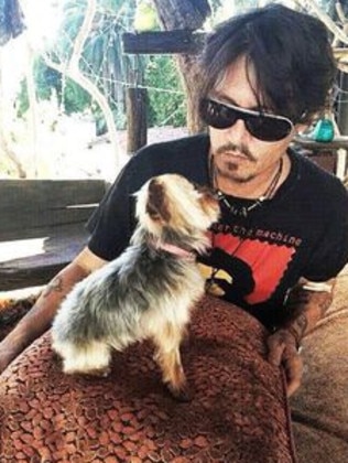 American actor Johnny Depp pictured with one of the two dogs he owns with his wife Amber Heard.