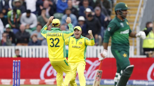 Glenn Maxwell celebrates running out Pakistan captain Sarfaraz Ahmed. Picture: AP