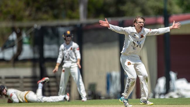 St Kilda's Todd Murphy appeals for a wicket. 