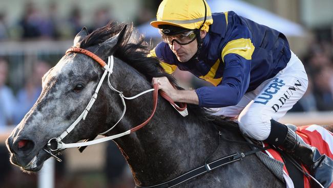 Chautauqua is not a certain starter in the Oakleigh Plate on Saturday.