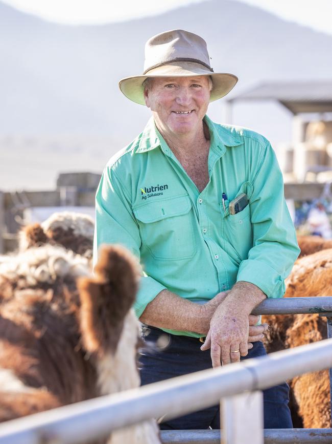 Donald Betts, from Benambra, sold 113 at Hinnomunjie.