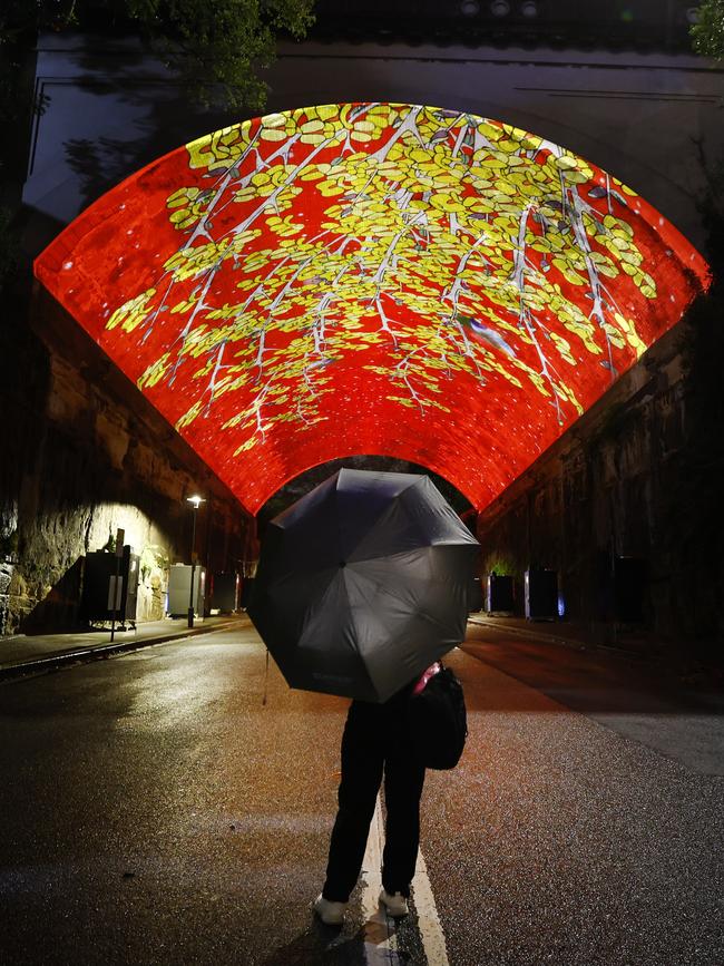 Another projection on Harrington Street. Picture: Richard Dobson
