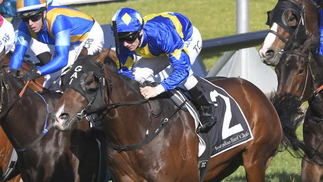 Dawn Passage will be storming home in the Hawkesbury Guineas. Picture: AAP