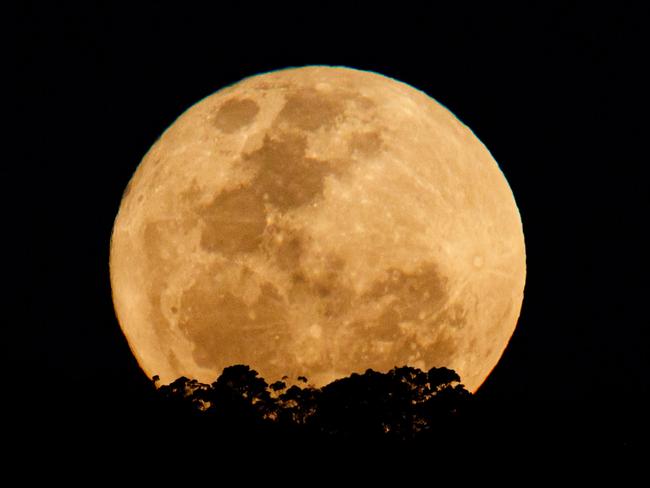 Harvest Moon. Picture by Matt Turner.